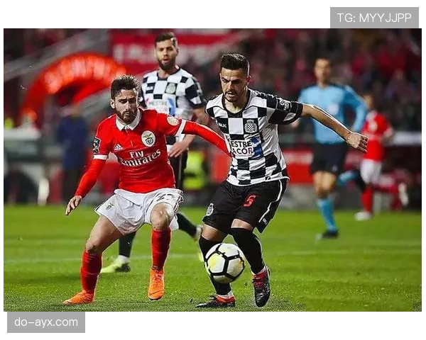 法马整体实力显著提升,新赛季表现备受期待 法马整体实力显著提升,新赛季表现备受期待